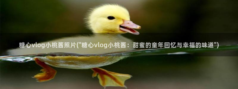 糖心vlug