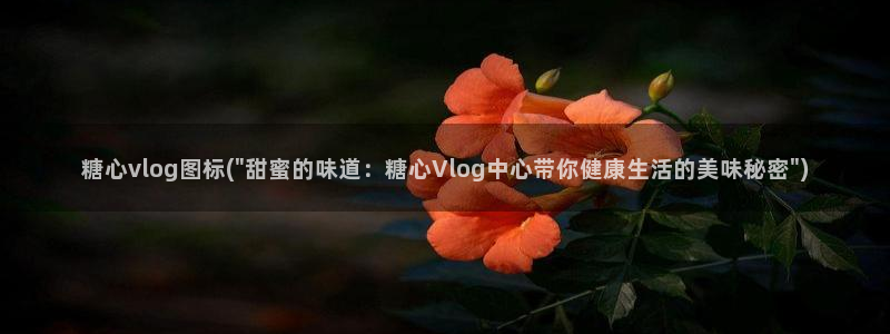 糖心vlgoVIP兑换码