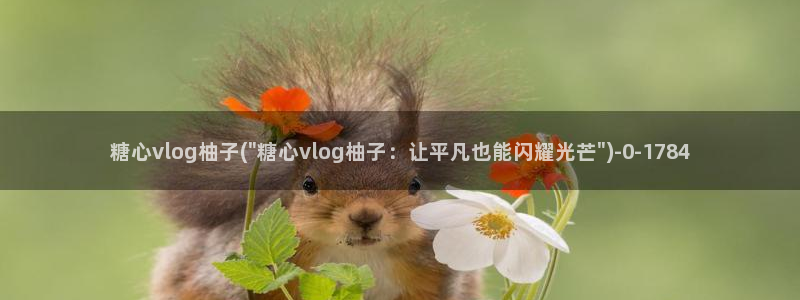 糖心lovg入口