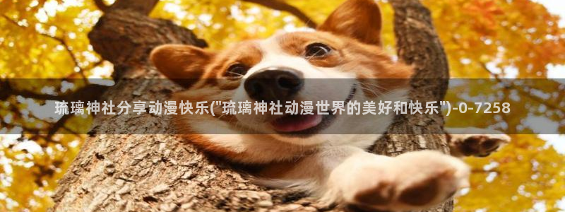 暗黑破坏神动漫：琉璃神社分享动漫快乐(\