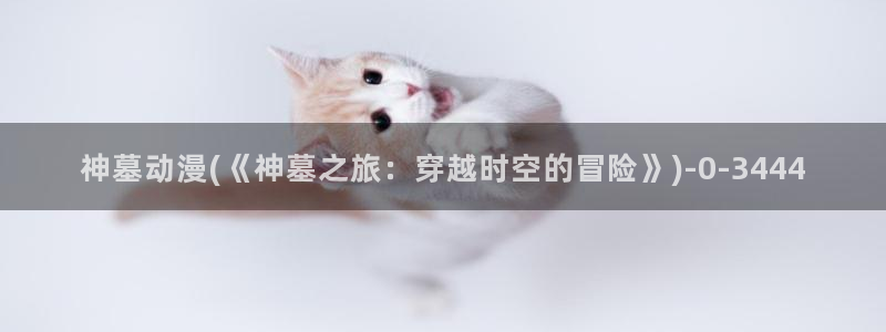 狂野情人动漫：神墓动漫(《神墓之旅：穿越时空的冒险》)