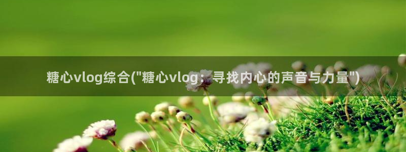 糖心vlgo二维码
