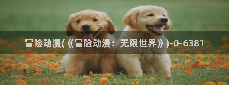 看动漫